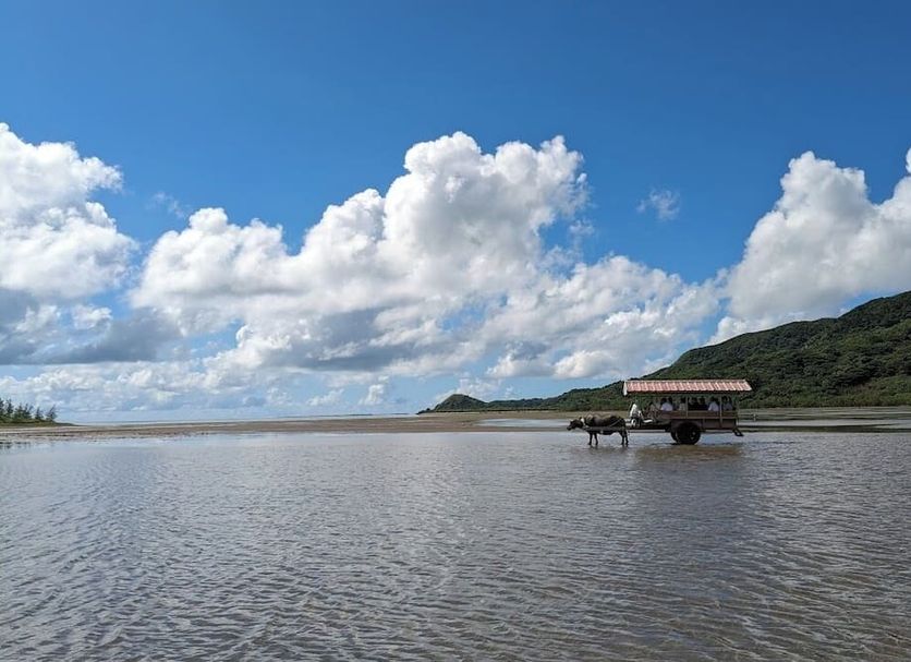 Khác Ảnh