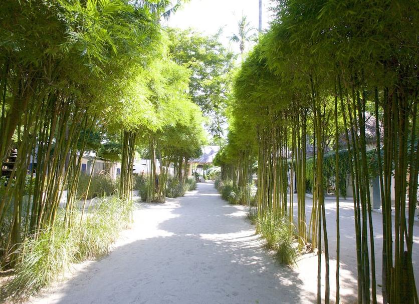 Cảnh ngoài trời Ảnh