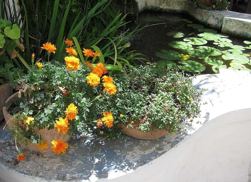 Cảnh ngoài trời Ảnh