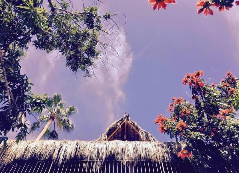 Cảnh ngoài trời Ảnh