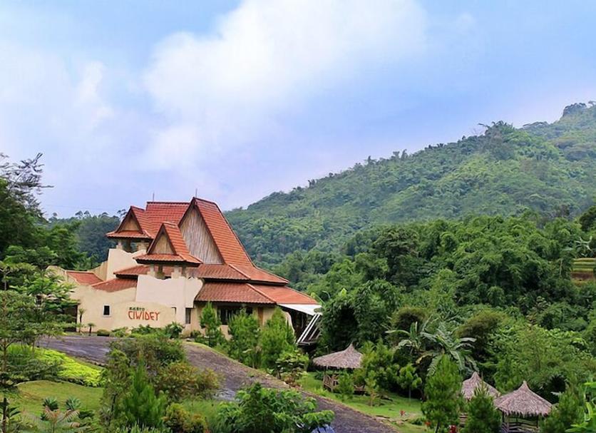 Cảnh ngoài trời Ảnh