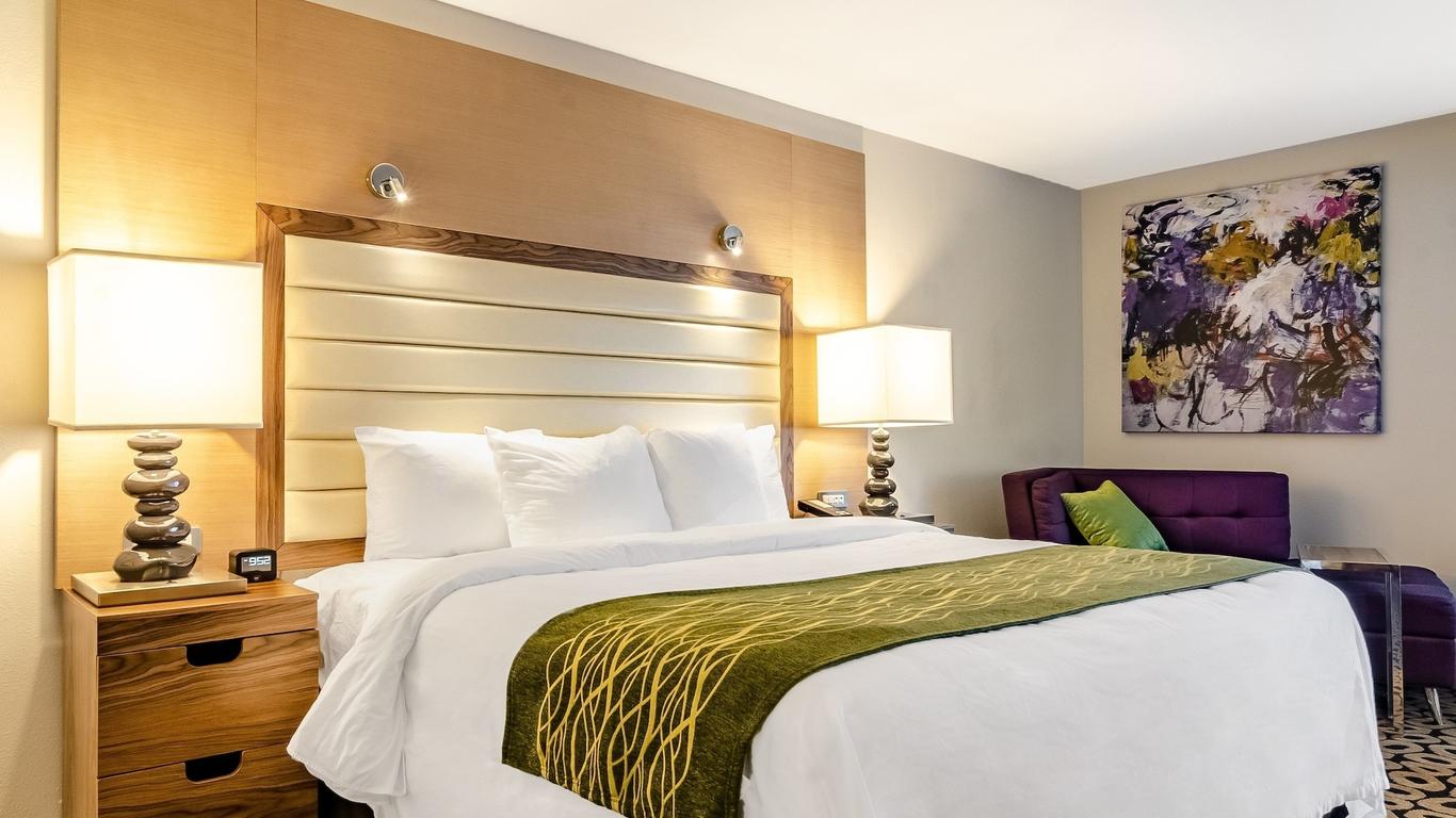 Comfort Inn Raleigh Midtown