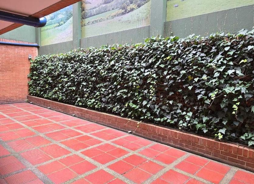 Cảnh ngoài trời Ảnh