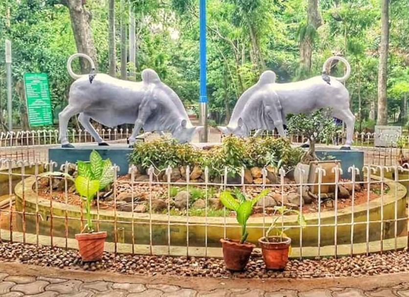 Khác Ảnh