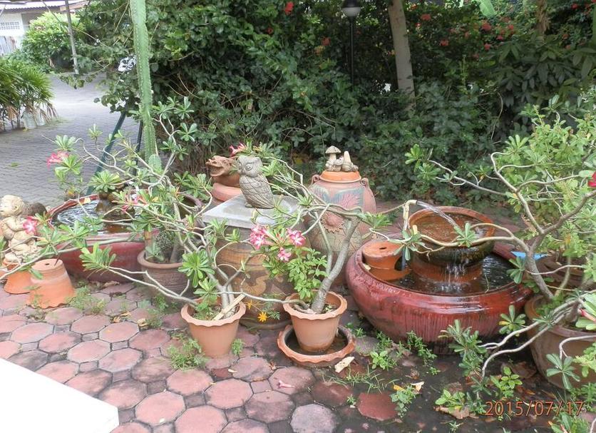 Cảnh ngoài trời Ảnh