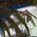 Cảnh ngoài trời