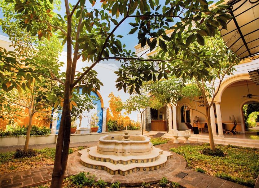 Cảnh ngoài trời Ảnh