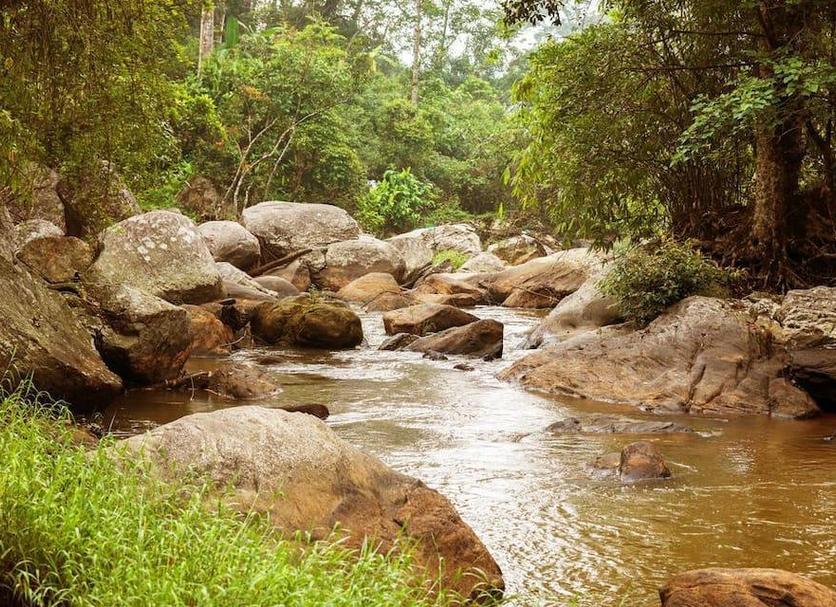 Khác Ảnh