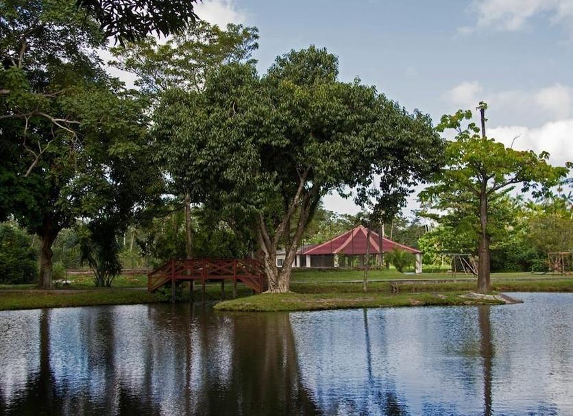 Khác Ảnh