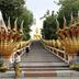 Cảnh ngoài trời