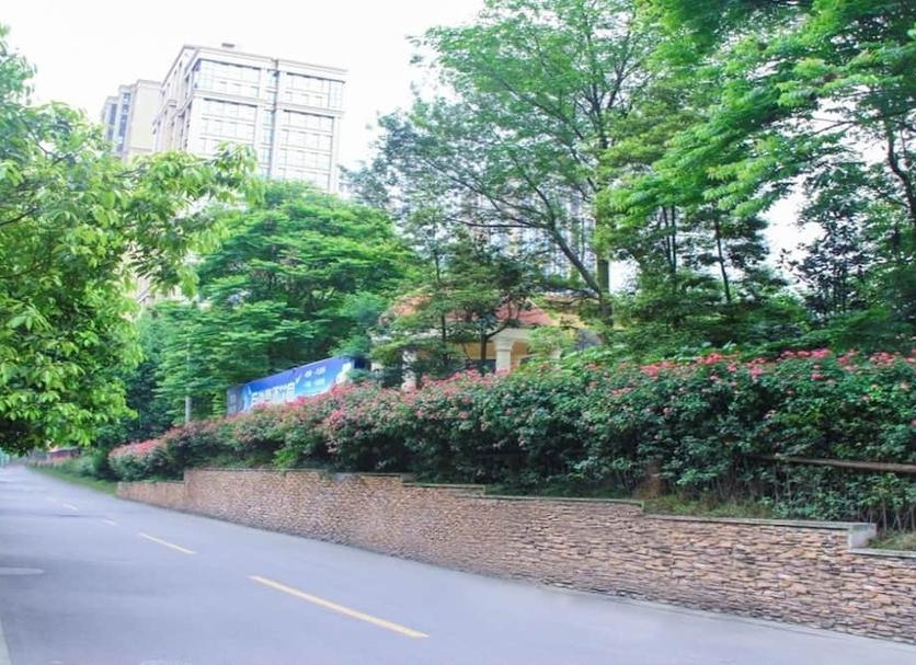 Cảnh ngoài trời Ảnh