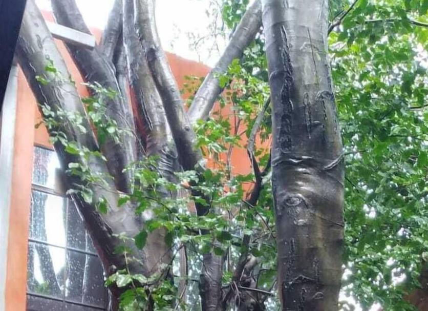 Cảnh ngoài trời Ảnh