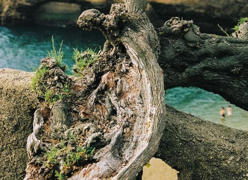 Khác Ảnh