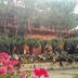 Cảnh ngoài trời