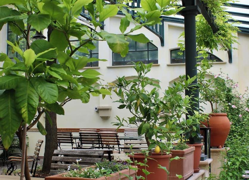 Cảnh ngoài trời Ảnh