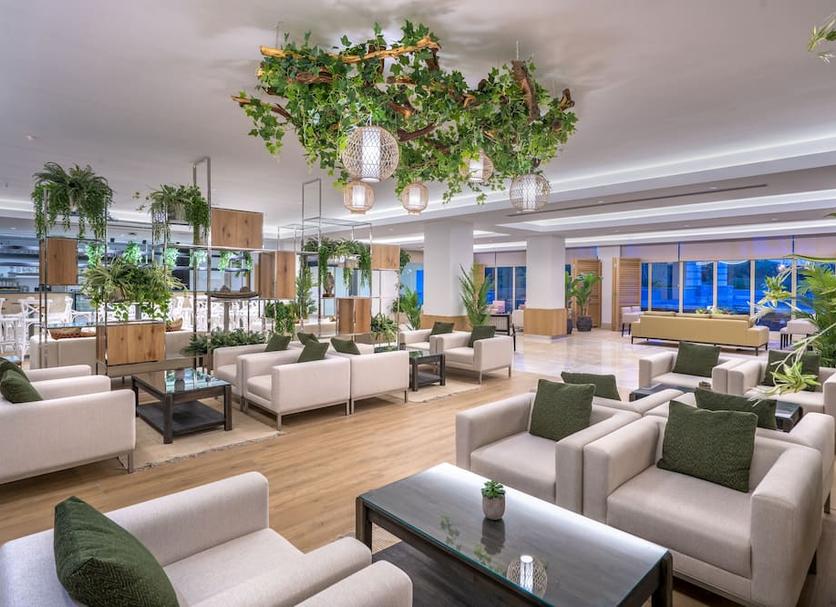Lounge Ảnh