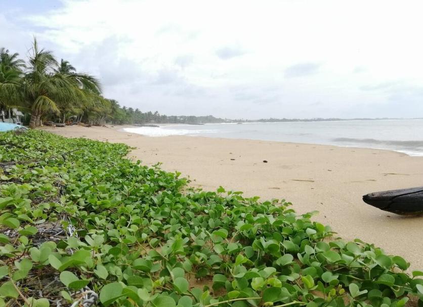 Bãi biển Ảnh