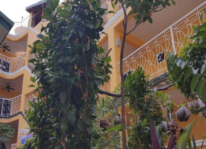 Cảnh ngoài trời Ảnh