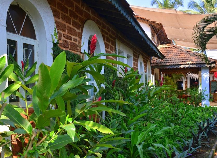 Cảnh ngoài trời Ảnh