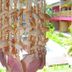Cảnh ngoài trời
