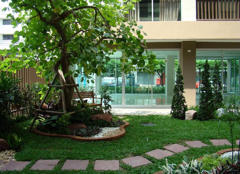 Cảnh ngoài trời Ảnh