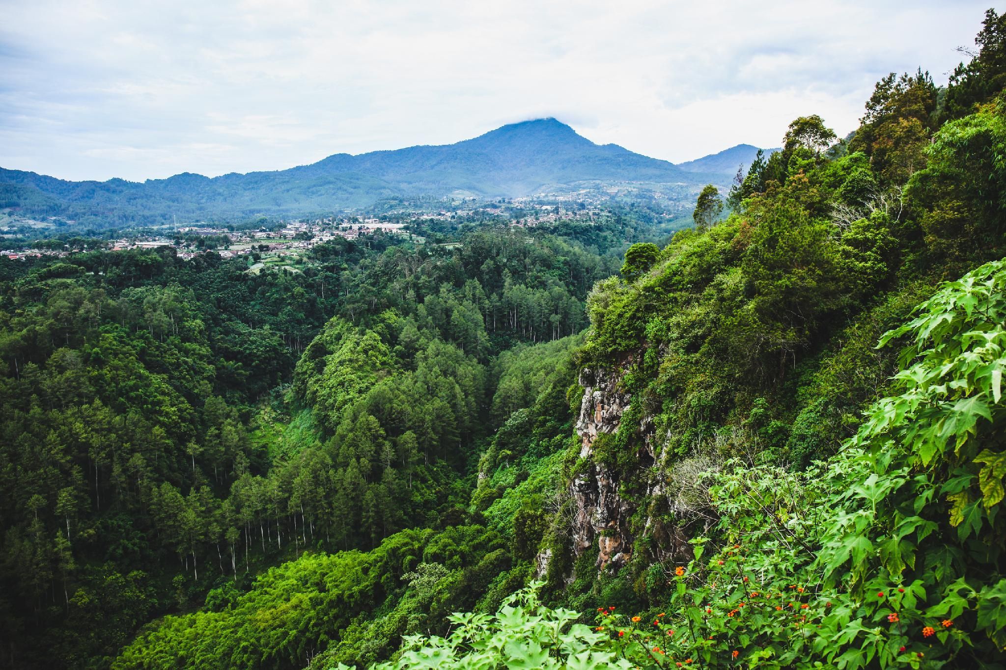 Cảnh ngoài trời