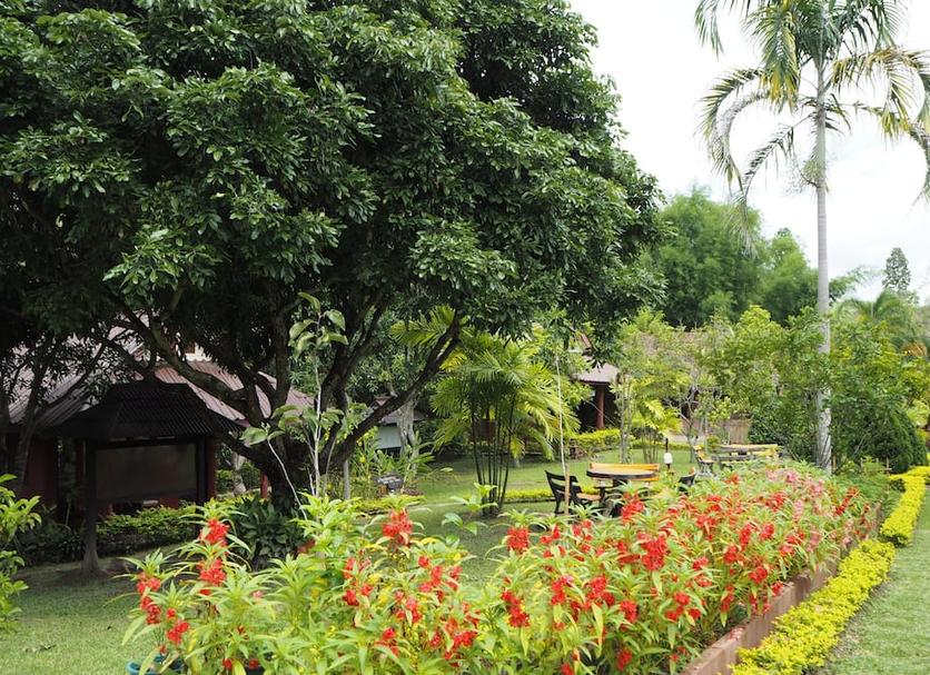 Cảnh ngoài trời Ảnh