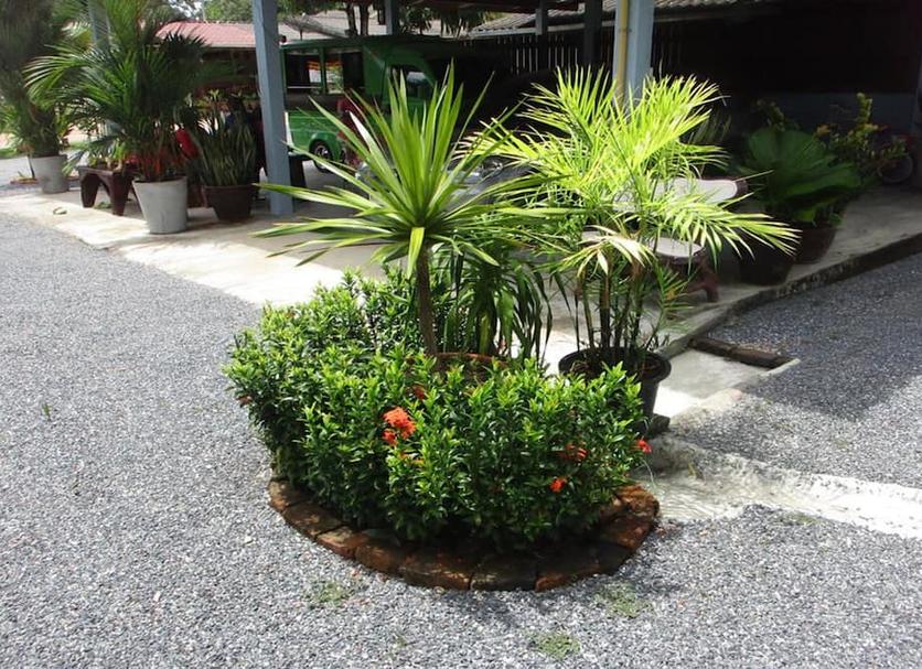 Cảnh ngoài trời Ảnh
