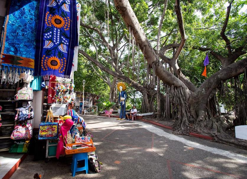 Cảnh ngoài trời Ảnh
