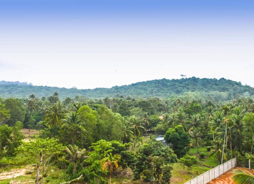 Cảnh ngoài trời Ảnh