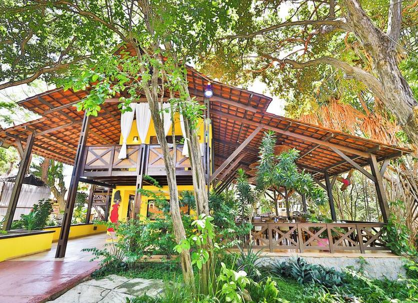 Cảnh ngoài trời Ảnh