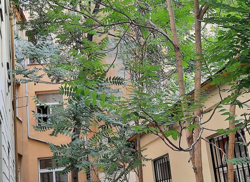 Cảnh ngoài trời Ảnh