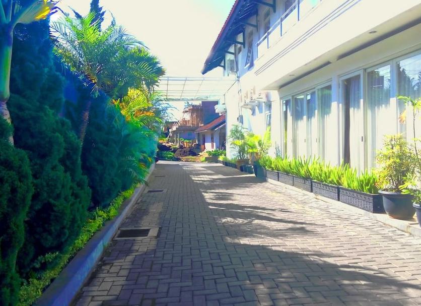 Cảnh ngoài trời Ảnh