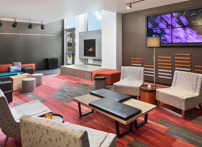 Lounge Ảnh
