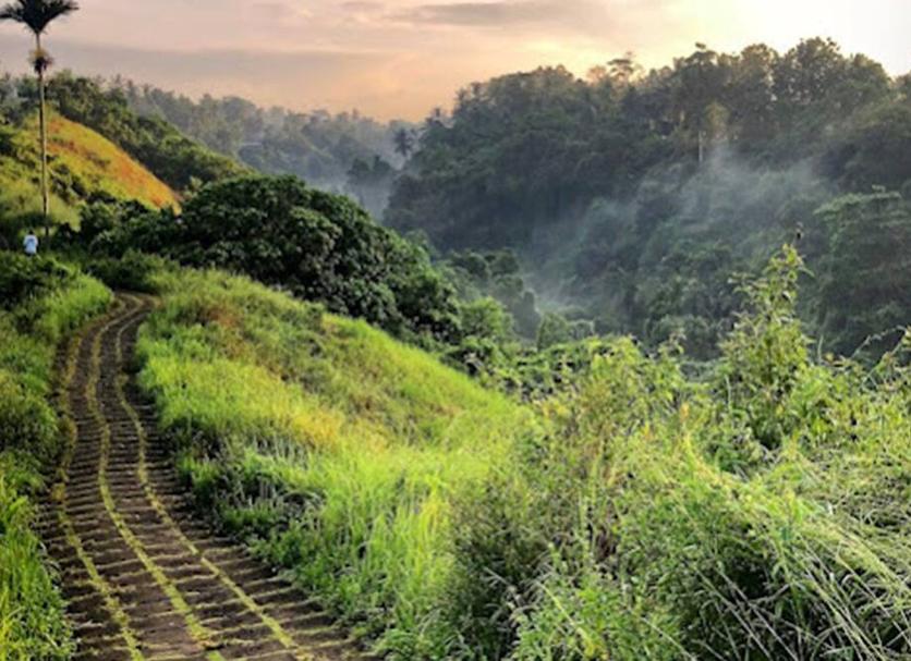 Cảnh ngoài trời Ảnh