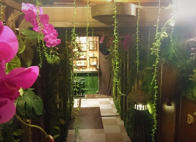 Cảnh ngoài trời Ảnh