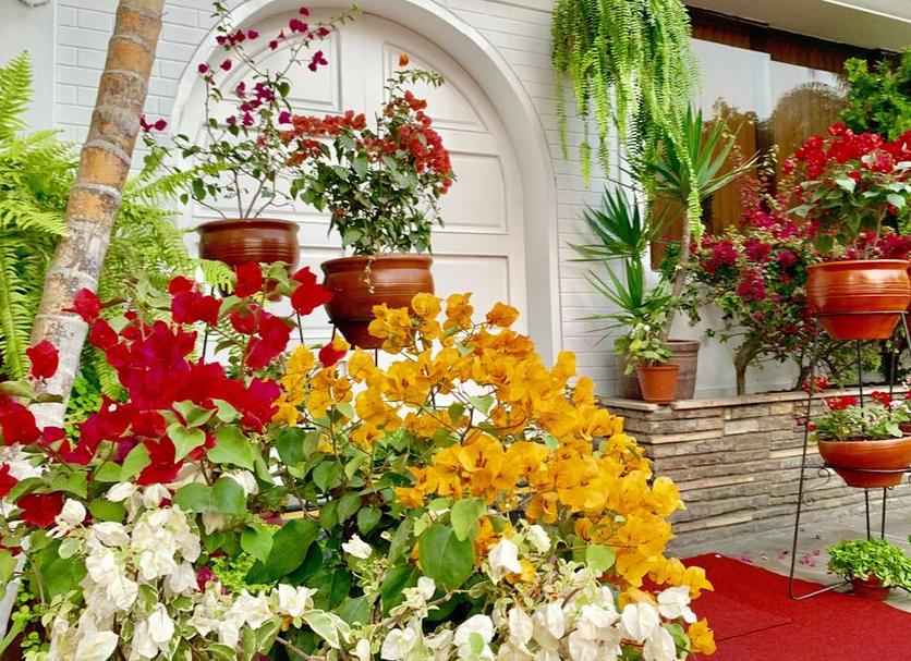 Cảnh ngoài trời Ảnh