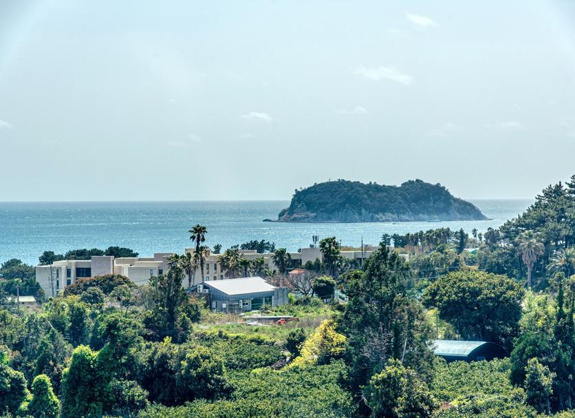 Toà nhà Ảnh