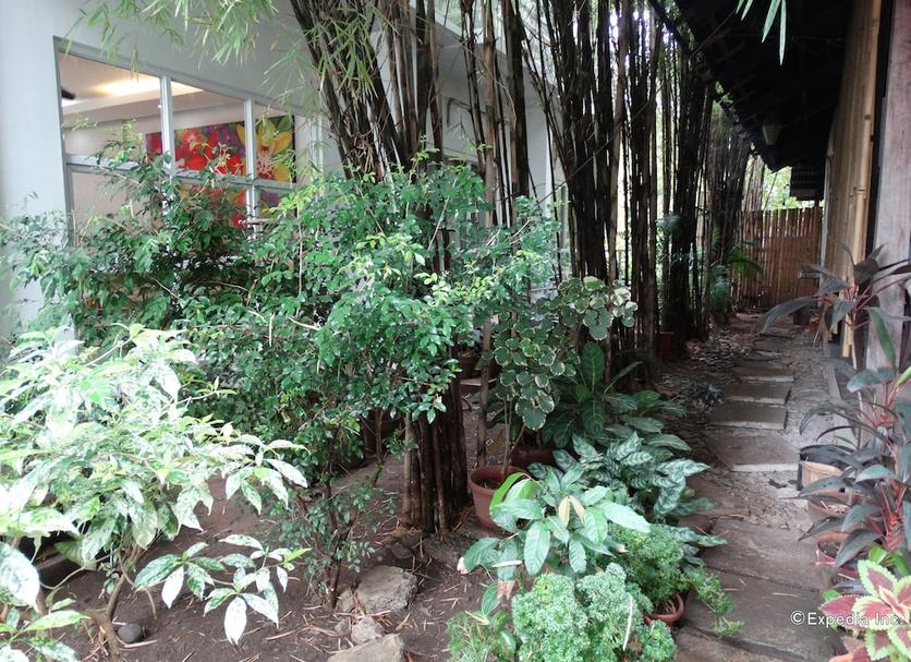 Cảnh ngoài trời Ảnh