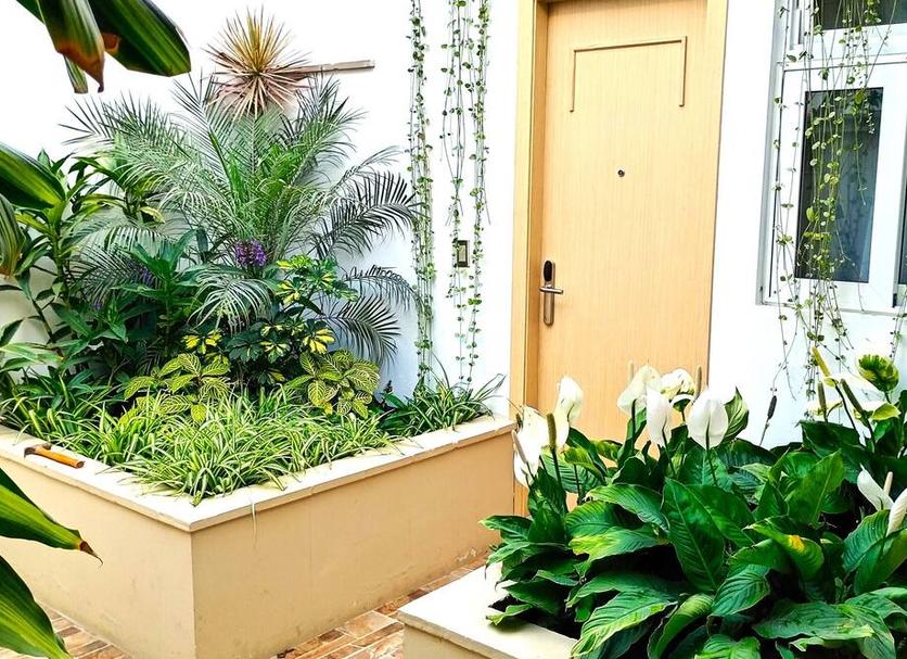 Cảnh ngoài trời Ảnh
