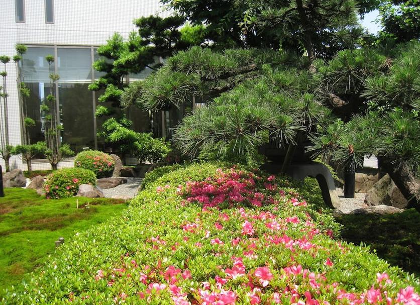 Cảnh ngoài trời Ảnh