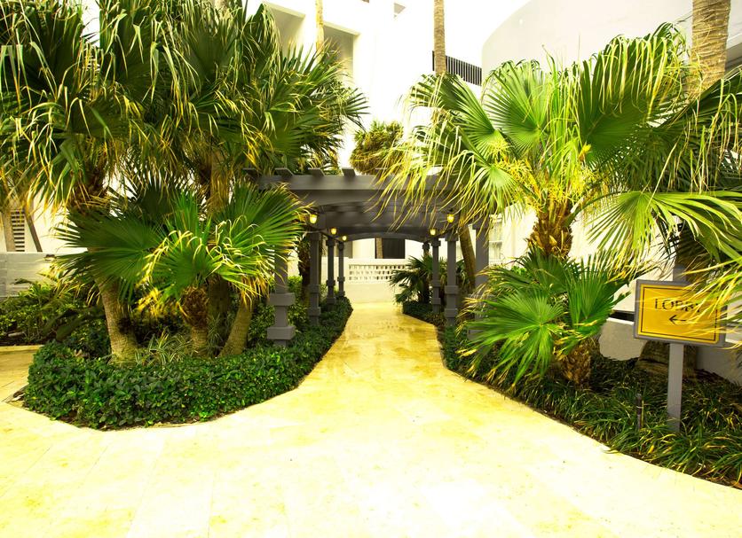 Cảnh ngoài trời Ảnh