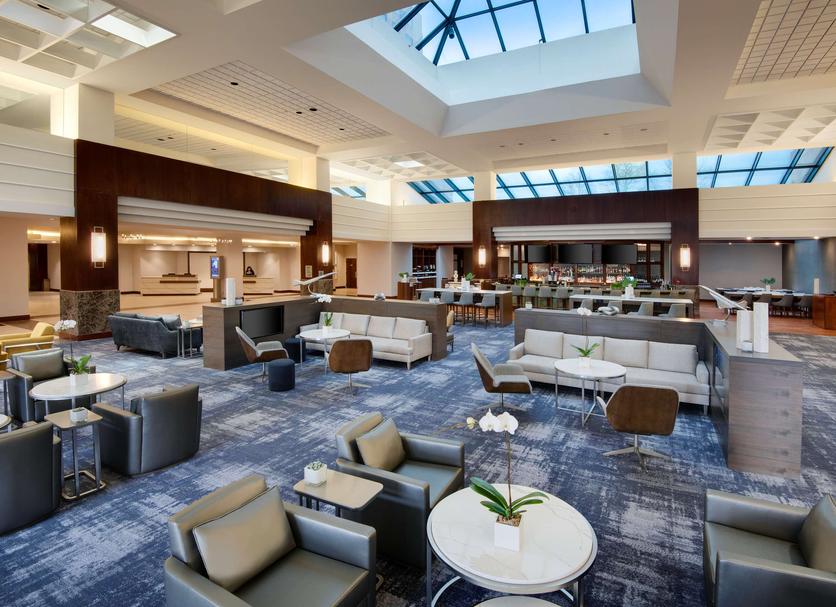 Lounge Ảnh