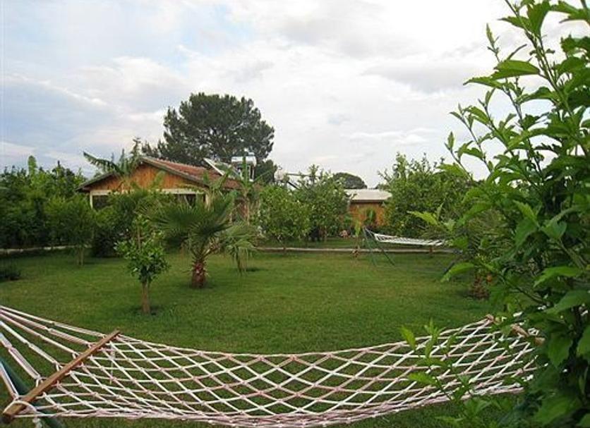 Cảnh ngoài trời Ảnh