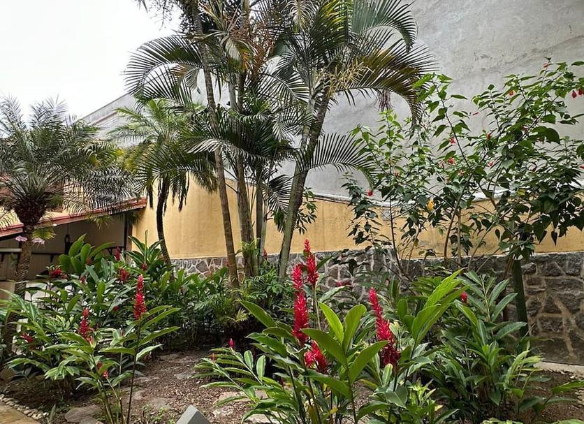 Cảnh ngoài trời Ảnh