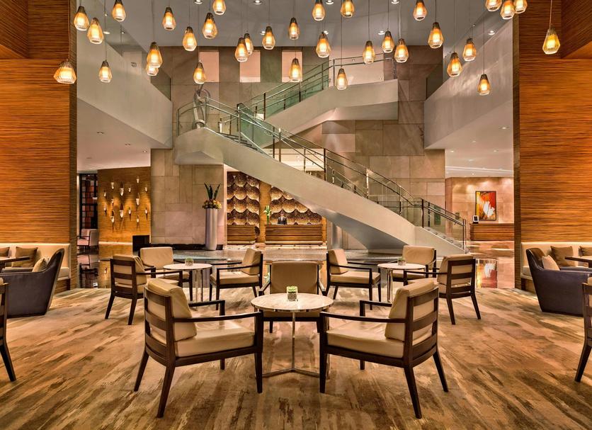 Lounge Ảnh