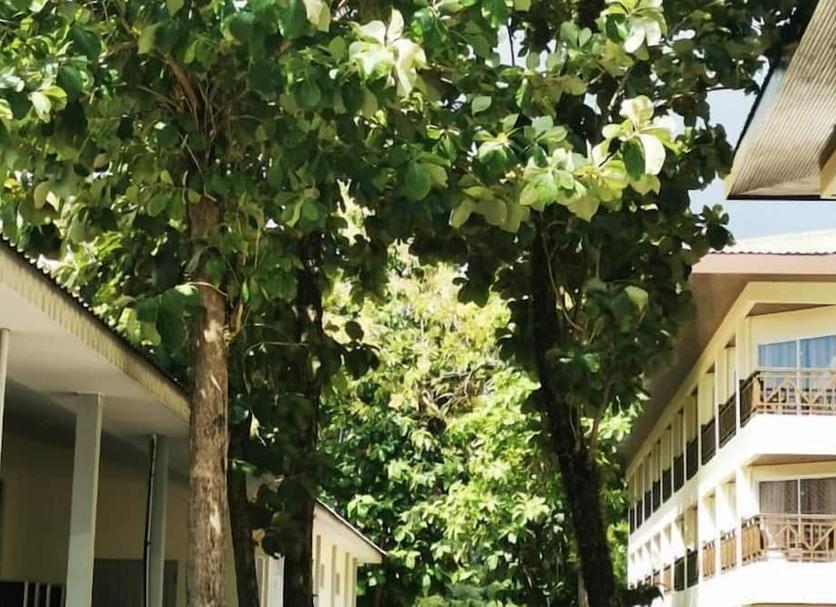 Cảnh ngoài trời Ảnh
