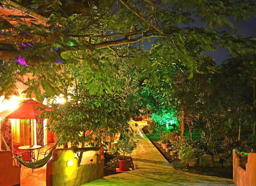 Cảnh ngoài trời Ảnh