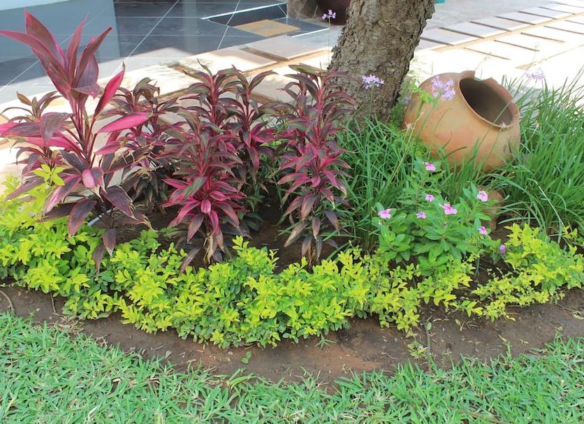 Cảnh ngoài trời Ảnh