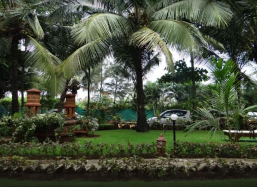 Cảnh ngoài trời Ảnh